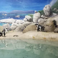 Jenkinson's Aquarium - Seaside Heights