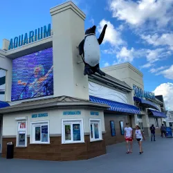 Jenkinson's Aquarium - Seaside Heights