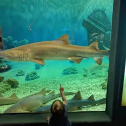 Jenkinson's Aquarium - Seaside Heights