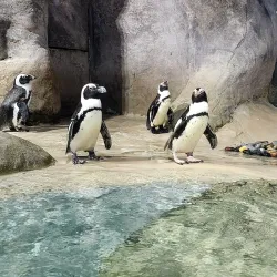 Jenkinson's Aquarium - Seaside Heights