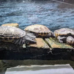 Jenkinson's Aquarium - Seaside Heights