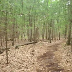 Ocean County Park - Seaside Heights