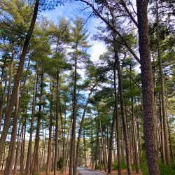 Ocean County Park - Seaside Heights