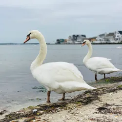 Seaside Heights Marina - Seaside Heights