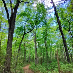 Gloucester Township Community Park - Sicklerville