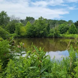 Tall Pines State Preserve - Sicklerville