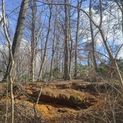 Tall Pines State Preserve - Sicklerville
