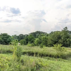 Tall Pines State Preserve - Sicklerville