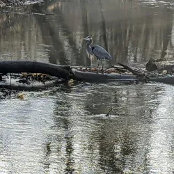 Tall Pines State Preserve - Sicklerville