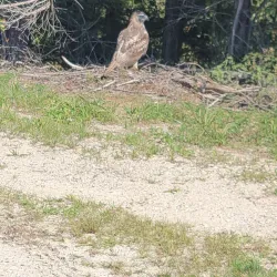 Garden State Parkway Scenic Overlook - Somers Point