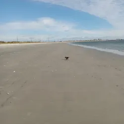 Somers Point Fishing Pier - Somers Point