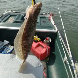 Somers Point Marina - Somers Point
