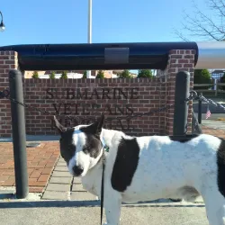 Veterans Memorial Park - Somers Point