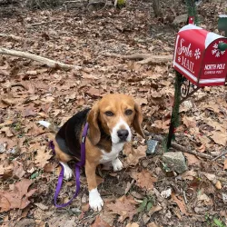 Hidden Valley Park - Summit