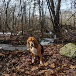 Hidden Valley Park - Summit