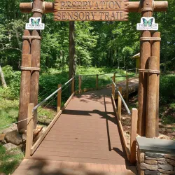 Hiker's Woods - Summit