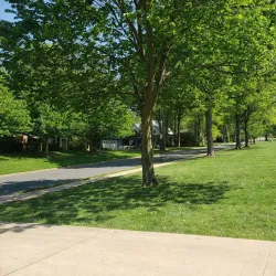 Memorial Field - Summit