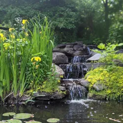 Reeves-Reed Arboretum - Summit