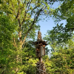 Reeves-Reed Arboretum - Summit