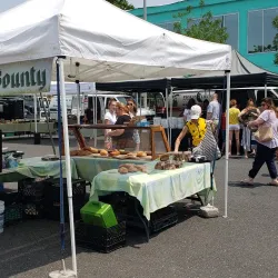 Summit Farmers Market - Summit