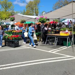 Summit Farmers Market - Summit