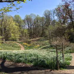The Reeves-Reed Arboretum Education Center - Summit