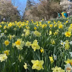 The Reeves-Reed Arboretum Education Center - Summit