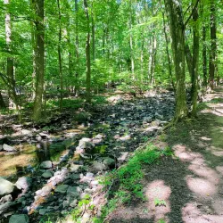 Flat Rock Brook Nature Center - Teaneck