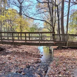 Flat Rock Brook Nature Center - Teaneck