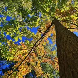 Teaneck Creek Conservancy - Teaneck