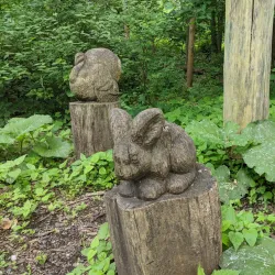 Teaneck Creek Conservancy - Teaneck