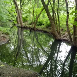 Teaneck Creek Conservancy - Teaneck