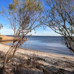 Cattus Island County Park - Toms River