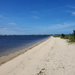 Cattus Island County Park - Toms River