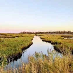 Cattus Island County Park - Toms River