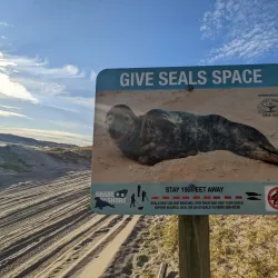 Island Beach State Park - Toms River