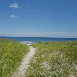 Island Beach State Park - Toms River