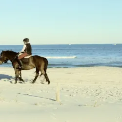 Island Beach State Park - Toms River