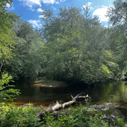 Riverwood Park - Toms River