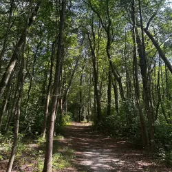 Riverwood Park - Toms River