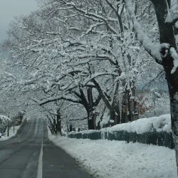 Toms River Country Club - Toms River