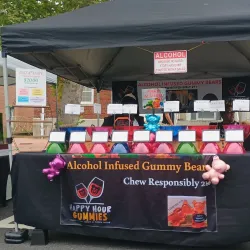 Toms River Fest - Toms River