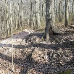 Assunpink Wildlife Management Area - Trenton