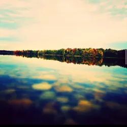 Assunpink Wildlife Management Area - Trenton