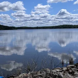 Assunpink Wildlife Management Area - Trenton