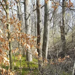 Assunpink Wildlife Management Area - Trenton