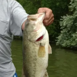 Assunpink Wildlife Management Area - Trenton