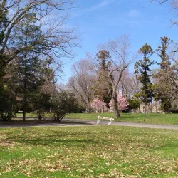 Cadwalader Park - Trenton