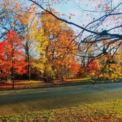 Cadwalader Park - Trenton