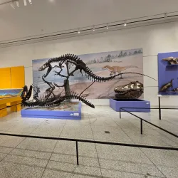 New Jersey State Museum - Trenton